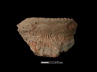 藏品(陶罐)的圖片